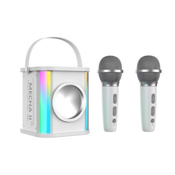 Outdoor portable live broadcast wireless Bluetooth audio transparent mecha subwoofer dual microphone karaoke audio