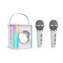 Outdoor portable live broadcast wireless Bluetooth audio transparent mecha subwoofer dual microphone karaoke audio