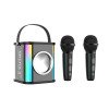 Outdoor portable live broadcast wireless Bluetooth audio transparent mecha subwoofer dual microphone karaoke audio