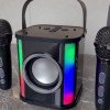 Outdoor portable live broadcast wireless Bluetooth audio transparent mecha subwoofer dual microphone karaoke audio