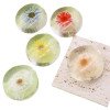 Amino acid dried flower soap 80g transparent petal handmade soap moisturizing essential oil soap face and bath soap