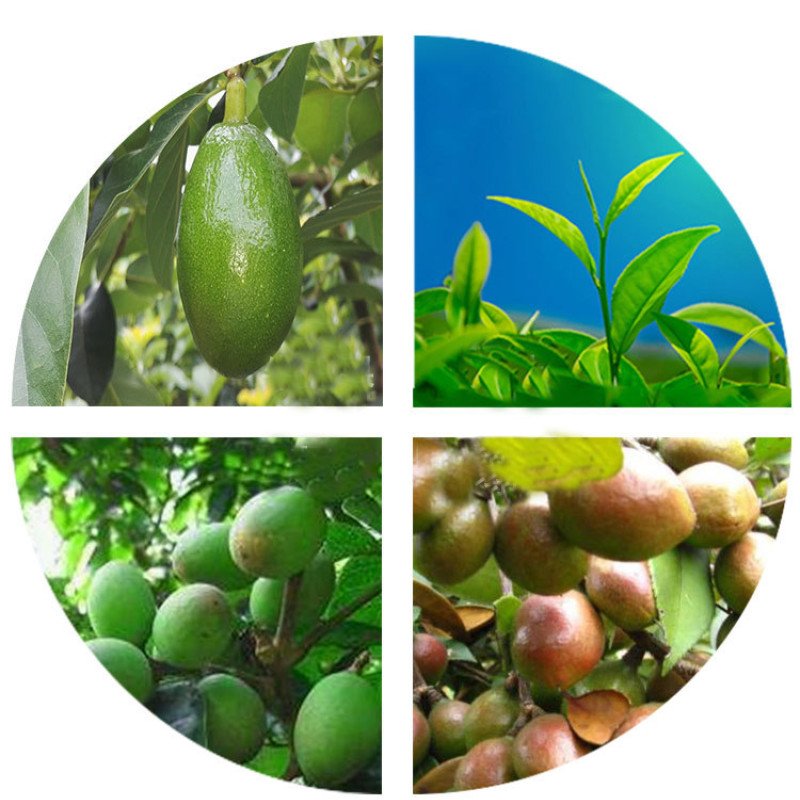 Hair care soap plant essential oil conditioner smooth care hair soap