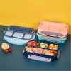 Plastic lunch box,microwaveable sealed lunch box,food-grade PP compartment sealed box