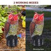 Outdoor courtyard imitation plastic owl (eyes can light up and make sounds) solar animal repeller