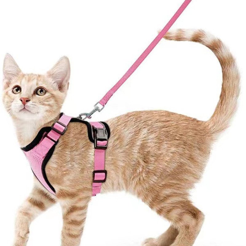 Pet supplies cat breathable harness reflective anti-breakaway cat walking rope cat traction rope small dog harness