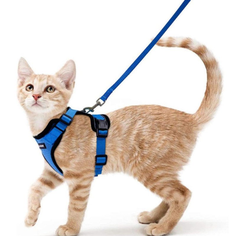 Pet supplies cat breathable harness reflective anti-breakaway cat walking rope cat traction rope small dog harness