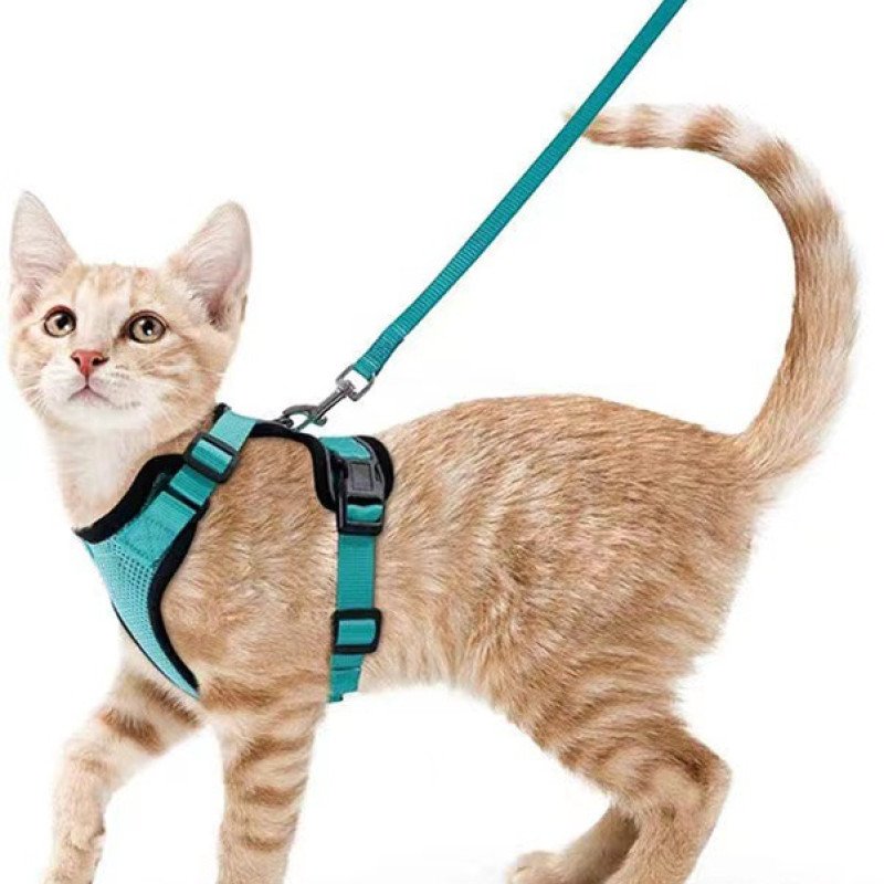 Pet supplies cat breathable harness reflective anti-breakaway cat walking rope cat traction rope small dog harness