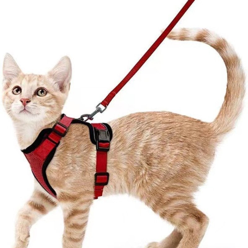 Pet supplies cat breathable harness reflective anti-breakaway cat walking rope cat traction rope small dog harness