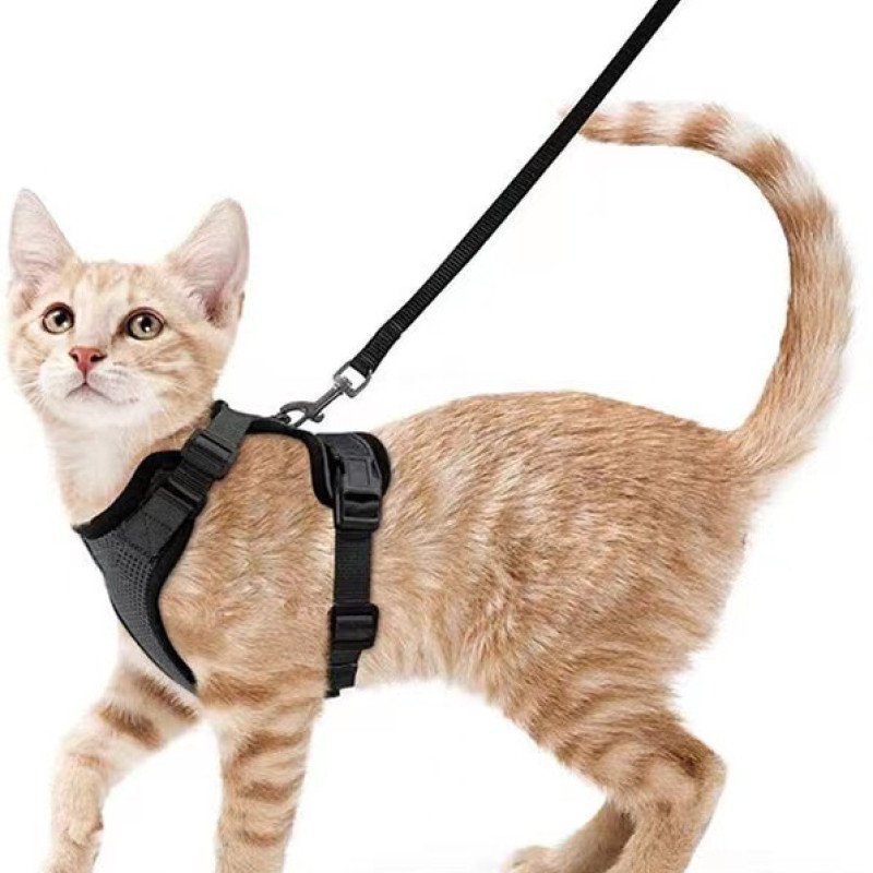 Pet supplies cat breathable harness reflective anti-breakaway cat walking rope cat traction rope small dog harness