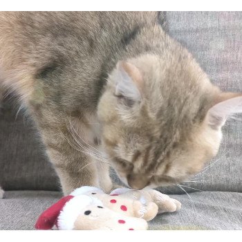 Cat Toy Christmas Hat Gingerbread Man Contains Cat Mint to Resist Teeth Molars for Interactive Play