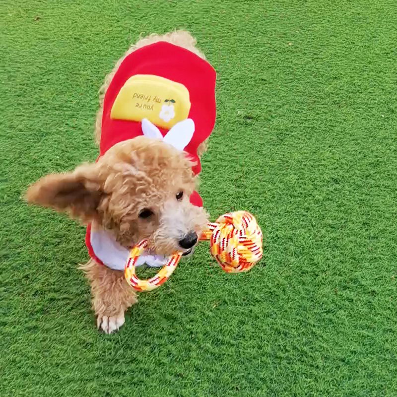 Pet Teeth Cleaning Rope Knot Dog Bite Resistant Toy Ball Teething Cotton Rope Toy Bite Rope Dog Toy Cross-border Wholesale