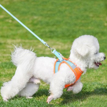 Vest style pet harness reflective breathable dog leash small and medium cat leash