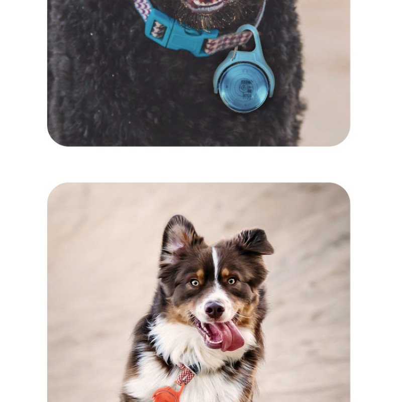 Dog pendant 360 degree rotating rechargeable pet light pet safety light dog walking light light pendant