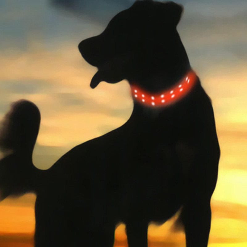 Dog Collar Dog Walking Safety Light Rechargeable LED Luminous Colorful Pet Luminous Neck 
circle water lamp