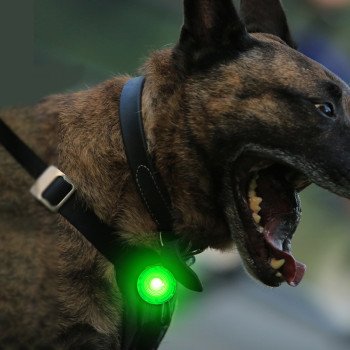 Rechargeable pet supplies, anti-lost dog walking light at night, LED dog luminous pendant, anti-lost artifact