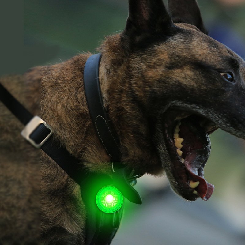Rechargeable pet supplies, anti-lost dog walking light at night, LED dog luminous pendant, anti-lost artifact