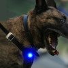 Rechargeable pet supplies, anti-lost dog walking light at night, LED dog luminous pendant, anti-lost artifact