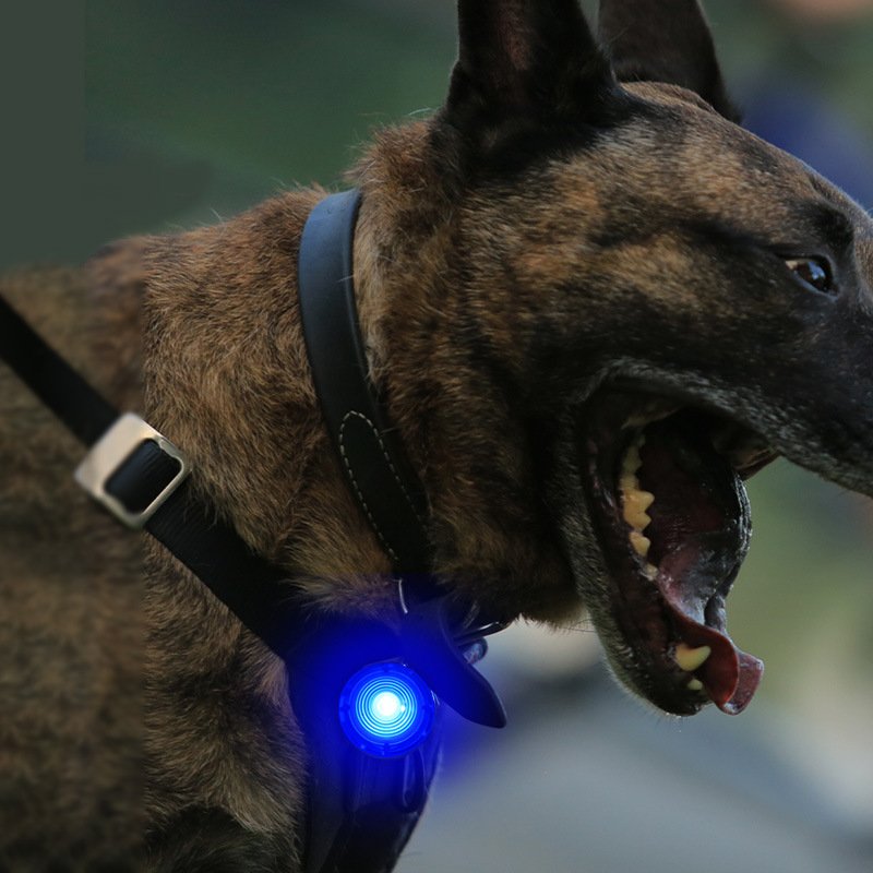 Rechargeable pet supplies, anti-lost dog walking light at night, LED dog luminous pendant, anti-lost artifact