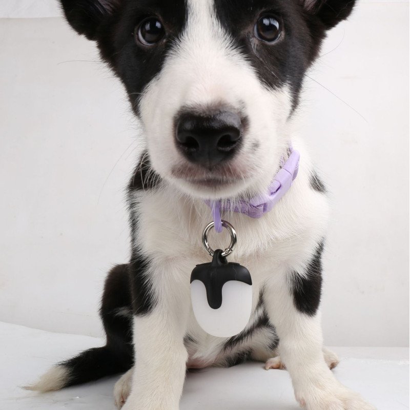 Three-generation battery life LED double-sided 360-degree light-emitting rechargeable pet light dog walking light pet light-emitting pendant