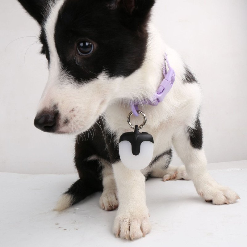 Three-generation battery life LED double-sided 360-degree light-emitting rechargeable pet light dog walking light pet light-emitting pendant