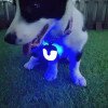 Three-generation battery life LED double-sided 360-degree light-emitting rechargeable pet light dog walking light pet light-emitting pendant