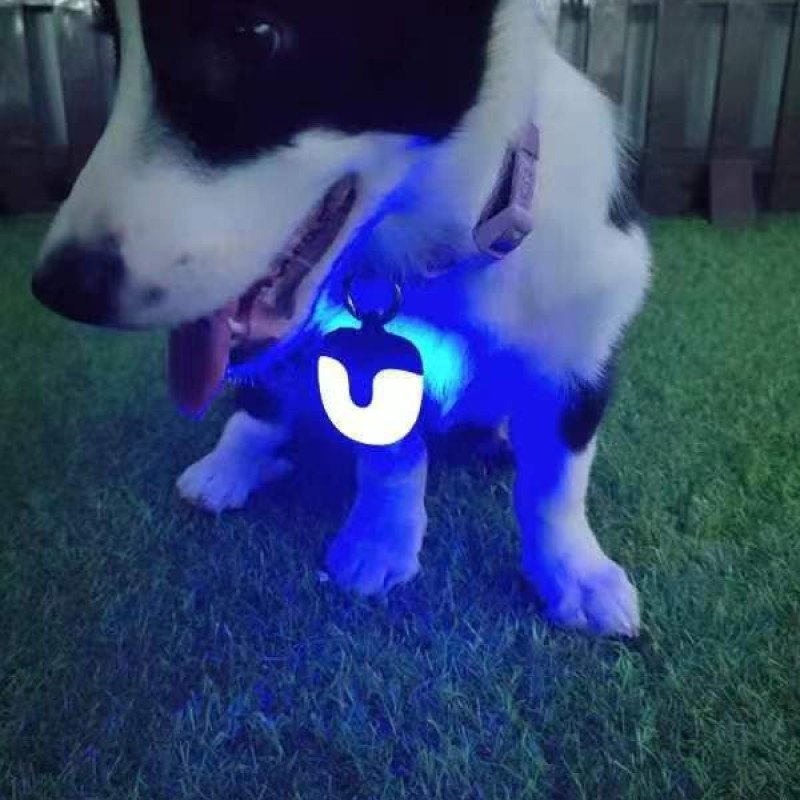 Three-generation battery life LED double-sided 360-degree light-emitting rechargeable pet light dog walking light pet light-emitting pendant