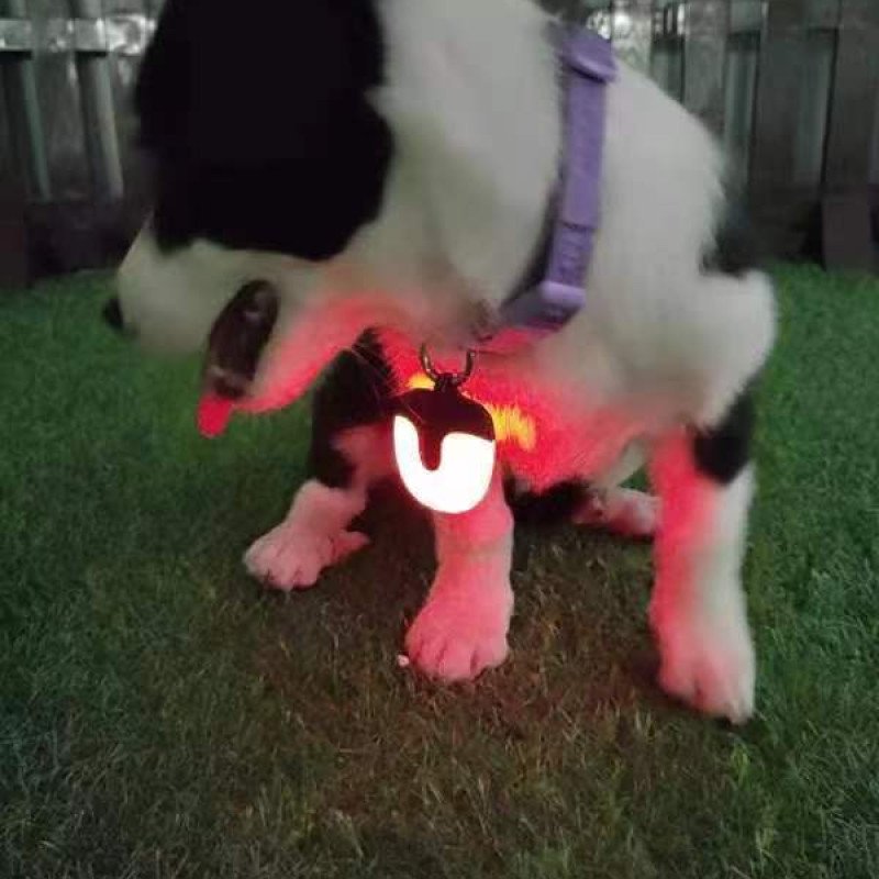 Three-generation battery life LED double-sided 360-degree light-emitting rechargeable pet light dog walking light pet light-emitting pendant