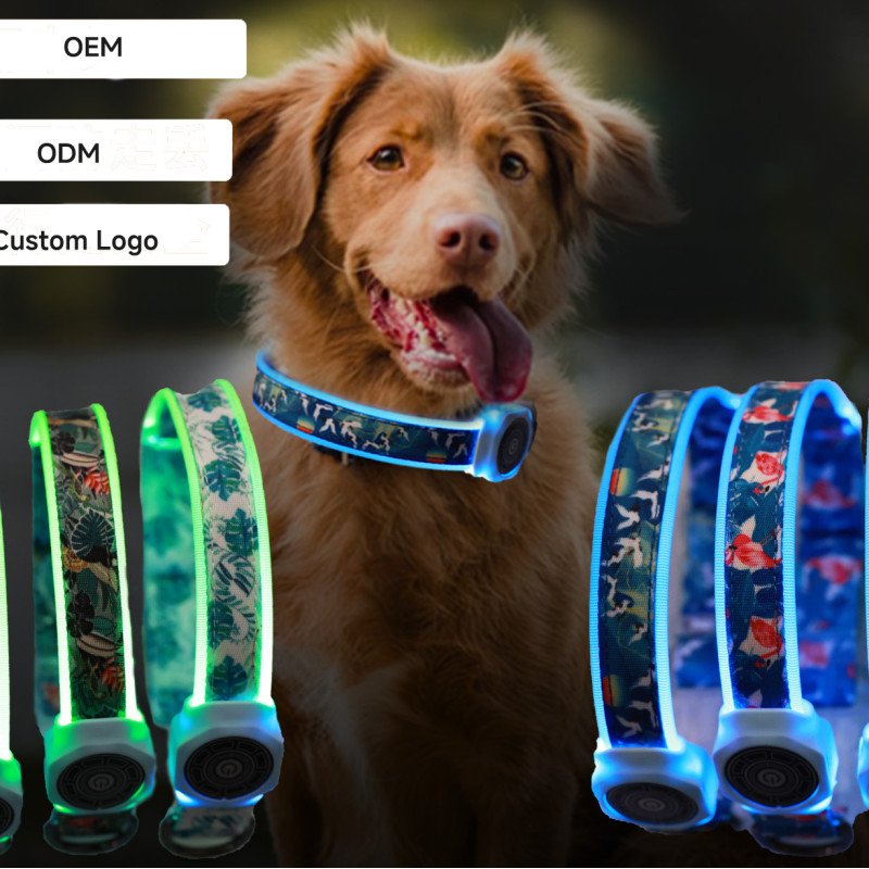 Traction-type dog walking light luminous collar Rechargeable multi-function flash collar