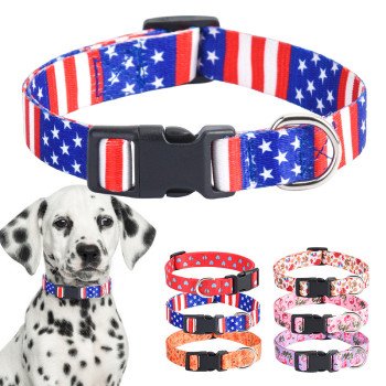 Printed flower pet collar x medium and large dog collar