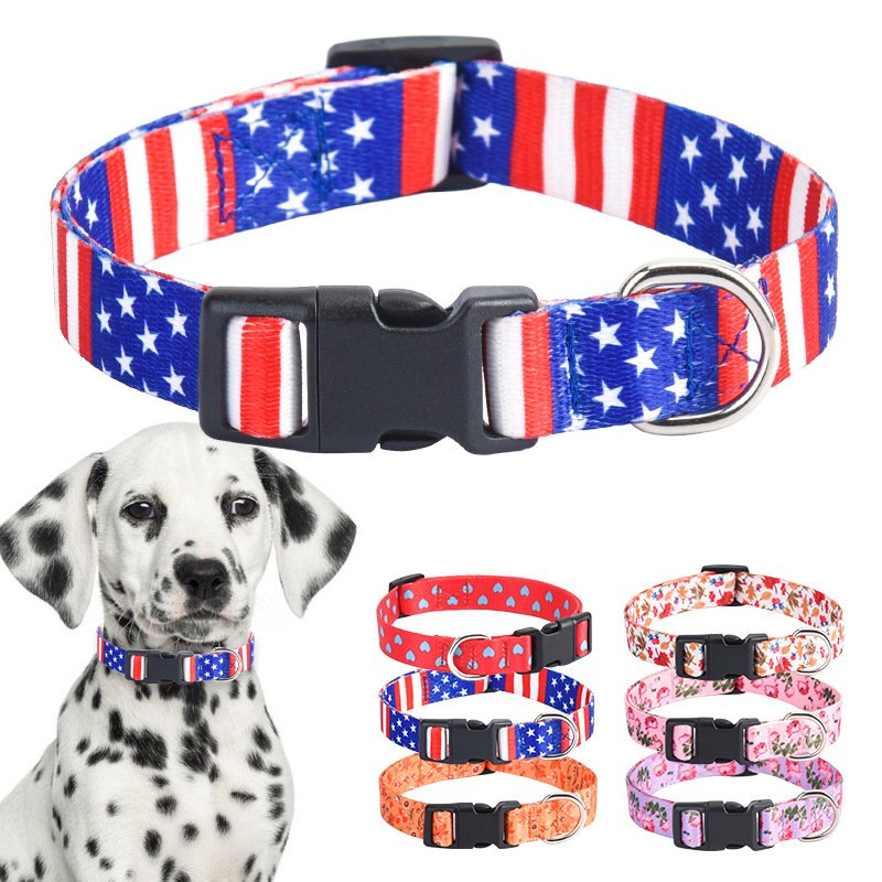 Printed flower pet collar x medium and large dog collar