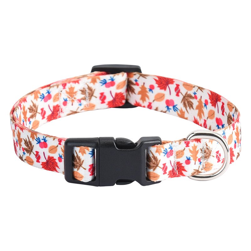 Printed flower pet collar x medium and large dog collar