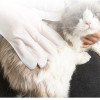 Pet disposable gloves 6 pieces of wet wipes for dog bathing, deodorizing and deodorizing, cat cleaning and dry cleaning pet supplies