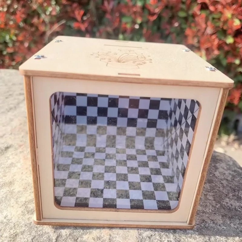 Magic Box Piggy Bank Handmade DIY Technology Small Production STEM Educational Experimental Educational Toy for Primary and Secondary School Students