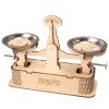 Science and technology small production pallet balance scale primary and secondary school students educational science experiment small invention handmade material model