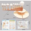 DIY homemade solar system nine-sphere handmade small science experiment model for primary school students teaching aids material package